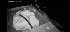 Gümüşhane’de Boz Ayı Su Ürünleri Tesisine Akın Ediyor: 20-30 Kilogram Balık Yiyor