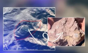 Gökdere köyündeki 200 milyon yıllık fosil hazinesi kurtarıldı