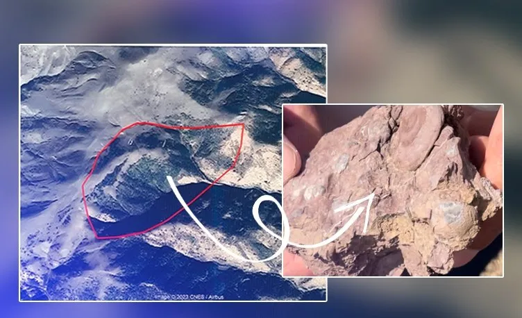 Gökdere köyündeki 200 milyon yıllık fosil hazinesi kurtarıldı