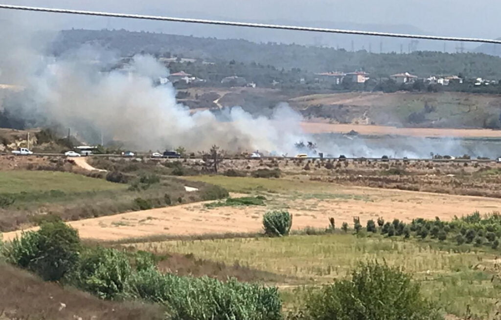 Alanya Manavgat karayolunda izmarit yangına neden oldu