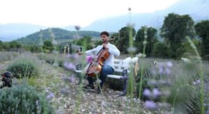 Lavanta bahçesinde çello resitali