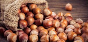 TMO Kabuklu Fındık Alım Fiyatlarını Belirledi