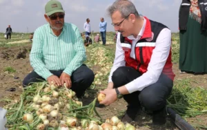 Tarımda yeni destekleme modeli hayata geçiyor