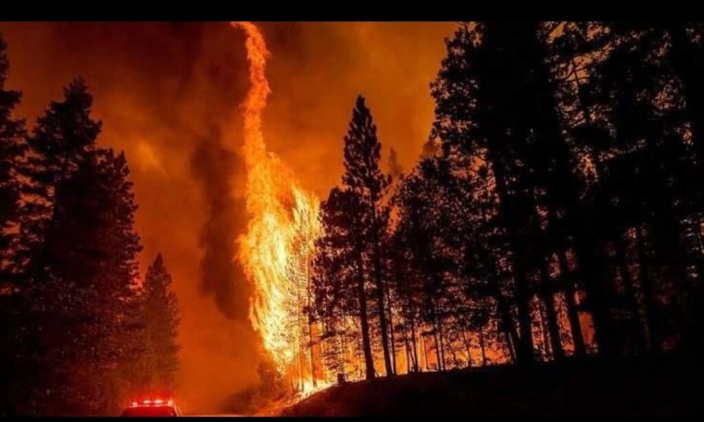 ‘’Ne Yaptık İse Olmuyor…Yangın Maalesef Devam Ediyor…’’