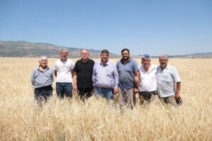 Sıra geldi Beypazarı Uruş’un verimli topraklarına