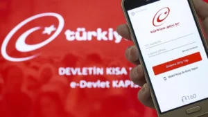 Gelir İdaresi Başkanlığı’ndan “e-devlet ücretli mi?” açıklaması