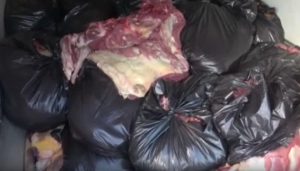 Adana’da 1.5 ton at ve eşek eti yakalandı