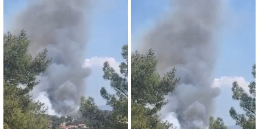 Limasol’da 5 hektarlık alan yandı