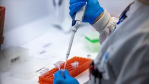 DSÖ, M çiçeği virüsü için acil durum çağrısı yaptı