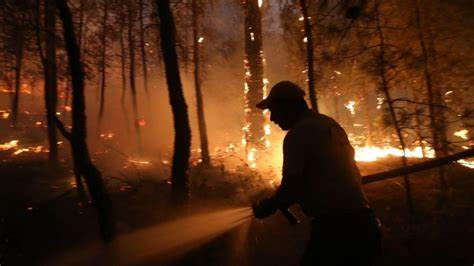 Türkiye’de orman yangınları geçen yıla göre arttı