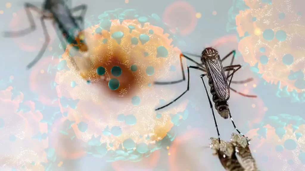 Yeni virüs Avrupa’da! Endişe verici yayılım…