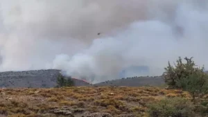 Ankara’da başlayan yangın Bolu’ya sıçradı