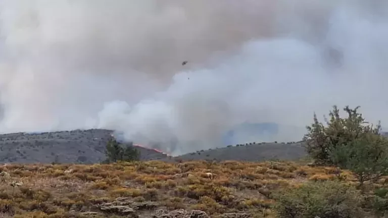 Ankara’da başlayan yangın Bolu’ya sıçradı