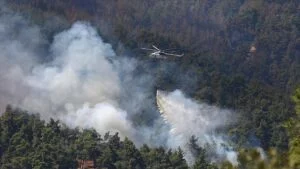 4 günde 306 orman yangınına müdahale edildi, 304’ü başarıyla söndürüldü