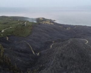 Orman yangınlarının 69’u kontrol altına alındı, 6 bölgede çalışma sürüyor