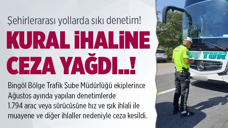 Bingöl’de şehirler arası yollarda sıkı denetim!