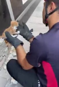 Sokaktaki Can Dostlarının En ‘İmkânsız’ Anlarında Yanında Oldular