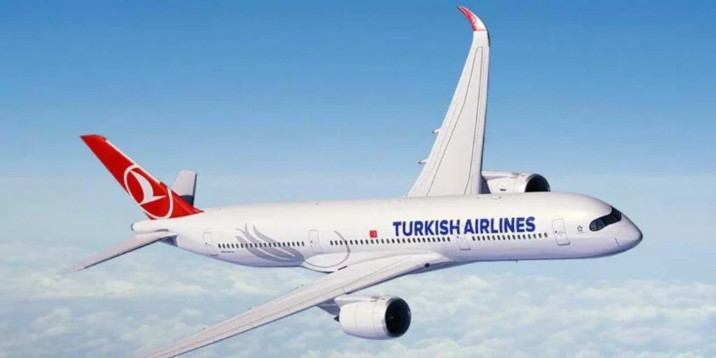 Türk Hava Yolları uçağında türbülans paniği: 6 kişi yaralandı