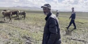Kars’ta kaybolan 35 büyükbaş hayvanı jandarma buldu
