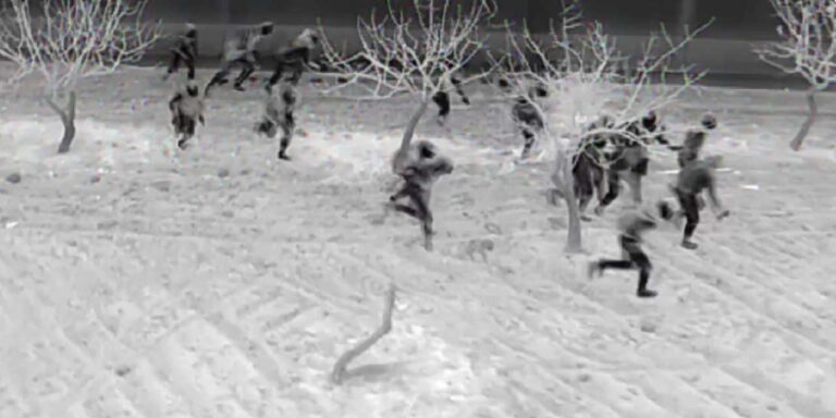 Türkiye’den Yunanistan ve Suriye’ye kaçarken 3’ü terörist 7 kişi yakalandı