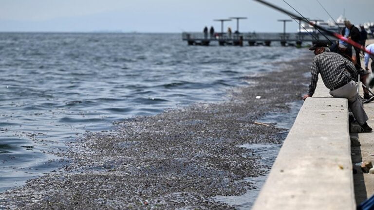 İzmir Körfezi’ndeki kirliliğe ceza: 1,8 milyon
