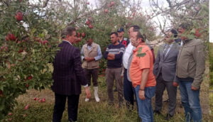 Isparta’da16 bin dekar elma bahçesi zarar gördü