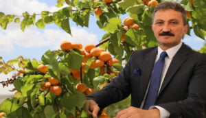 Isparta’da kayısı üretimi 50 bin tonu aştı