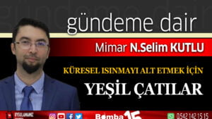Küresel ısınmayı alt etmek için yeşil çatılar