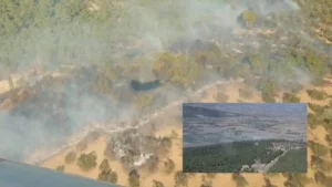 İzmir’de yangın çıktı!