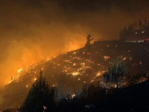 Muğla’da 4 ayrı noktada orman yangını çıktı