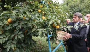 “Rekolte için kravatlar çıkacak tulumlar giyilecek”