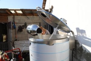 Ordu’dan süt üreticisine destek