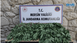Mersin jandarmasından uyuşturucu operasyonu: 3 şüpheli yakalandı