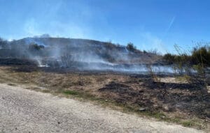 Parkta çıkan yangın makilik alana sıçradı