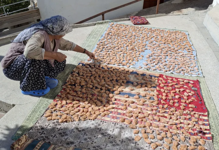 Beypazarı ilçesinde kadınların kışlık tarhana ve salça yapımı sürüyor