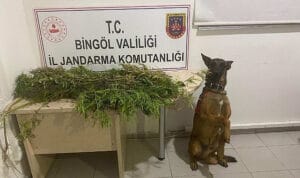 Bingöl’de Uyuşturucu ve Suçlular Yakalandı