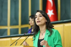 DEM Parti’den Bahçeli’ye cevap