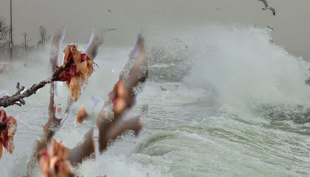 Antalya’ya kuvvetli rüzgar ve zirai don uyarısı