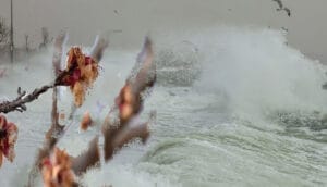 Antalya’ya kuvvetli rüzgar ve zirai don uyarısı