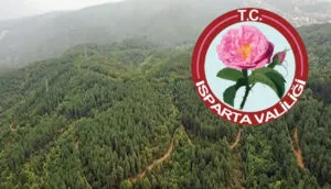 Isparta Valiliğinden ağaç katliamı haberleri üzerine açıklama