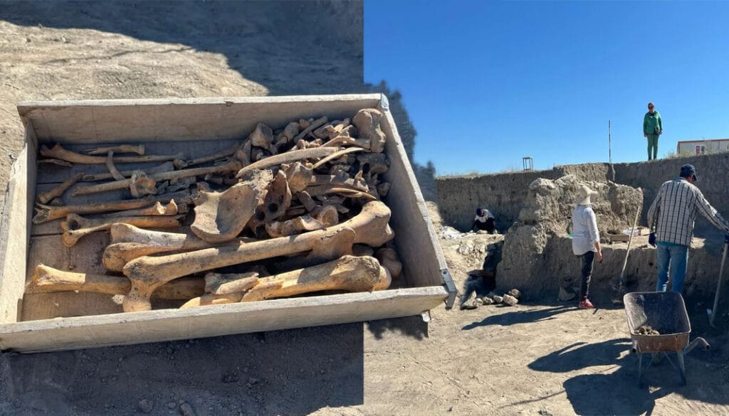 Burdur’da 5 bin yıllık insan iskeleti bulundu