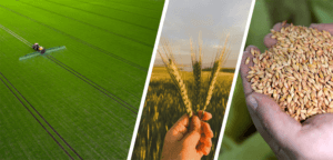 98,6 milyon TL destek ödemesi çiftçilerin hesaplarına aktarılıyor