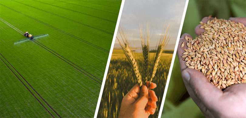 98,6 milyon TL destek ödemesi çiftçilerin hesaplarına aktarılıyor