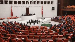 TBMM’de kadın cinayetlerine kefenli tepki