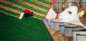 Kırsal Kalkınma Destekleri Çiftçilerin Hesaplarına Aktarılıyor