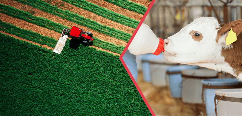 Kırsal Kalkınma Destekleri Çiftçilerin Hesaplarına Aktarılıyor