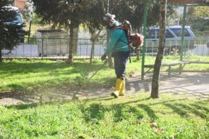 Giresun Belediyesi Yeşil Alanlara Sonbahar Temizliği Yapıyor