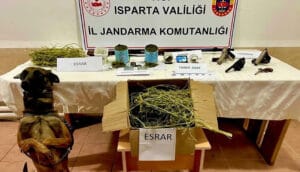 Isparta’da jandarmadan uyuşturucu operasyonu