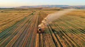Tarımsal üretim planlaması ve yeni destekleme modeli ile ilgili merak edilenler