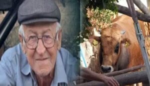 Burdur’da dananın saldırısına uğrayan adam hayatını kaybetti – Birlik Haber Ajansı